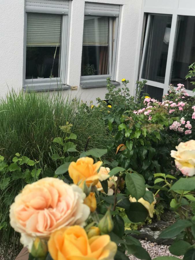 Ernst-Ludwig-Promenade Apartment Bensheim Exterior foto